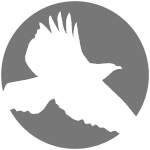 Red Hawk Technologies - USA